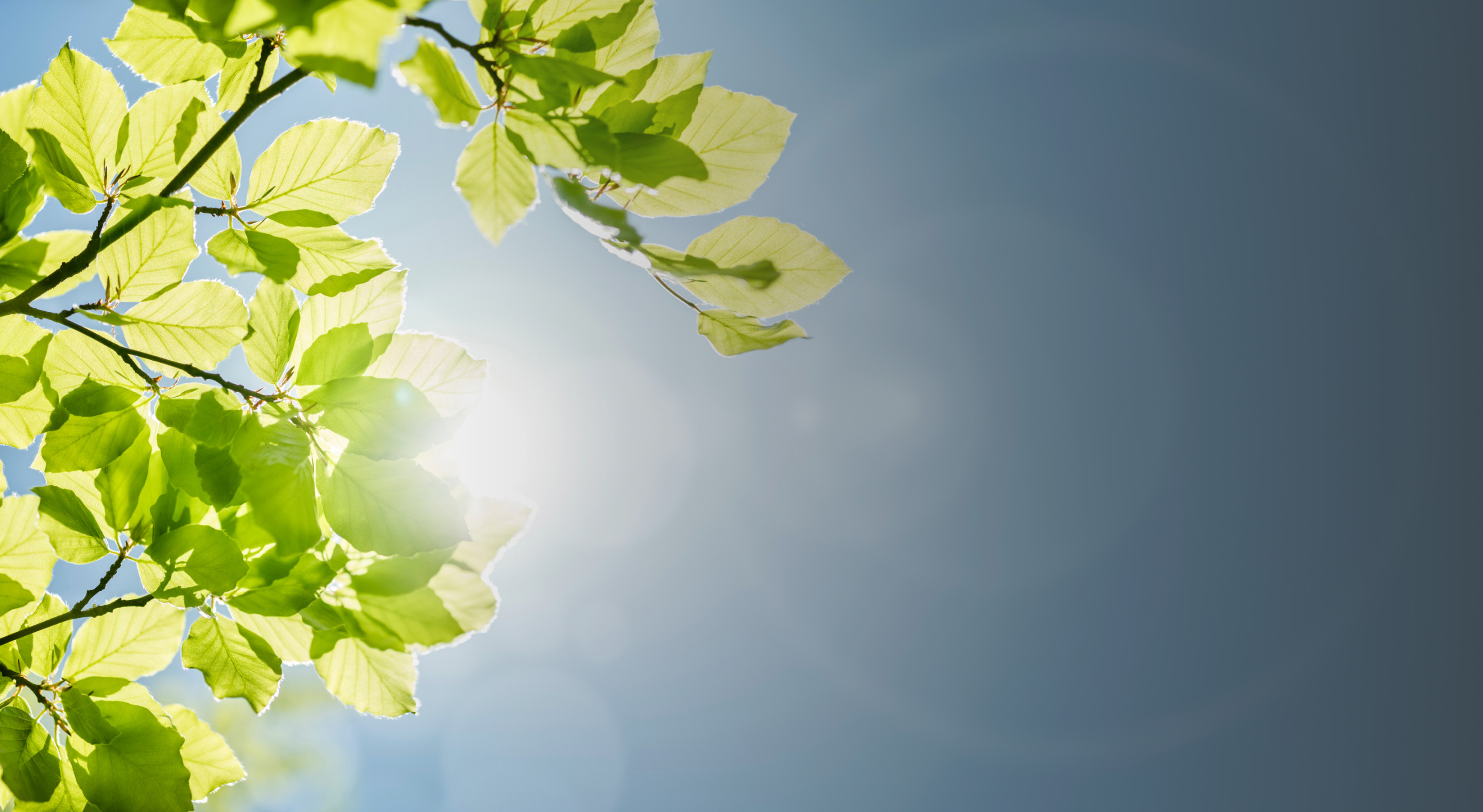 東海道新幹線再生アルミ